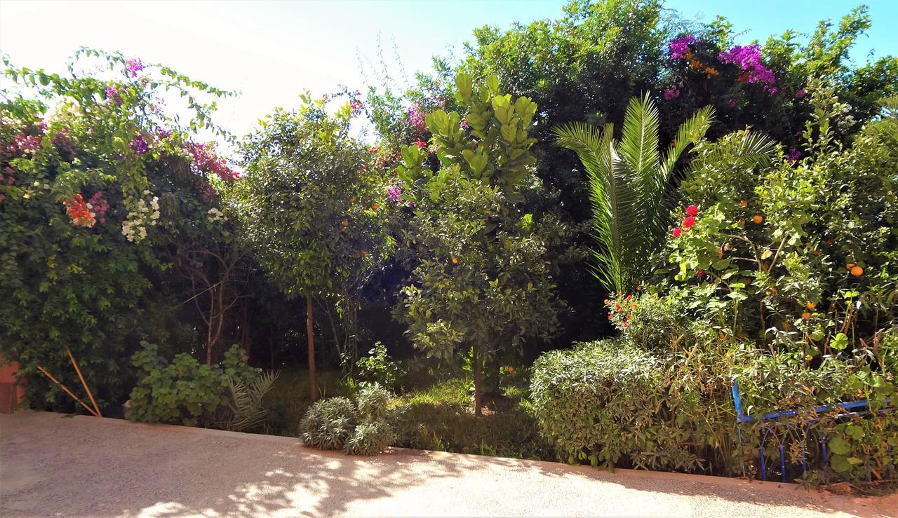A Pousada Surf & Yoga Paradise Morocco Tamraght Ou Fella Exterior foto