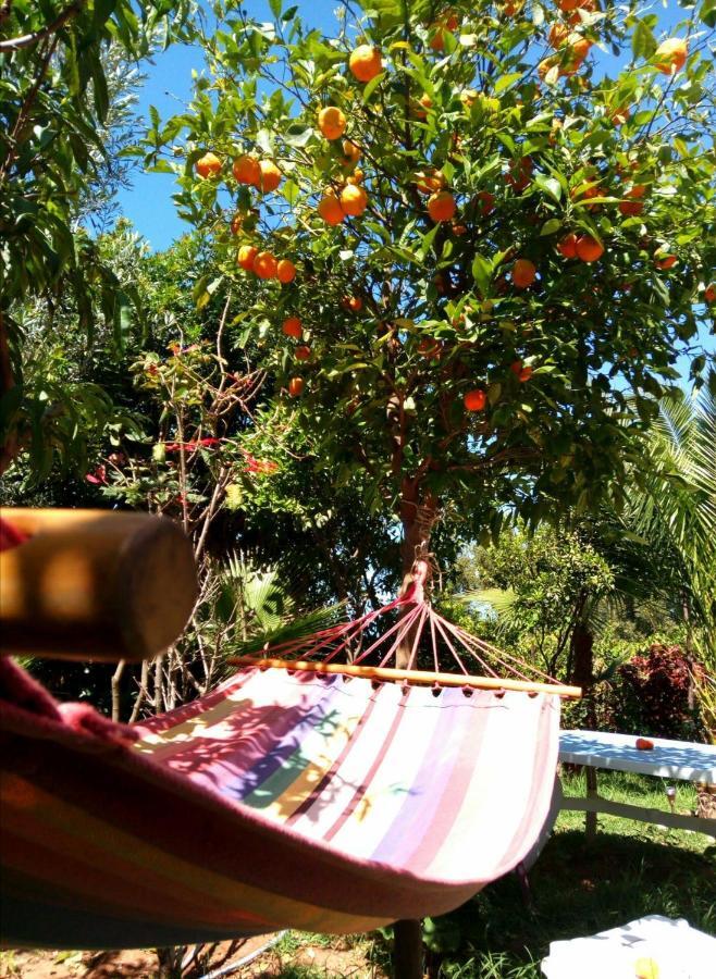 A Pousada Surf & Yoga Paradise Morocco Tamraght Ou Fella Exterior foto